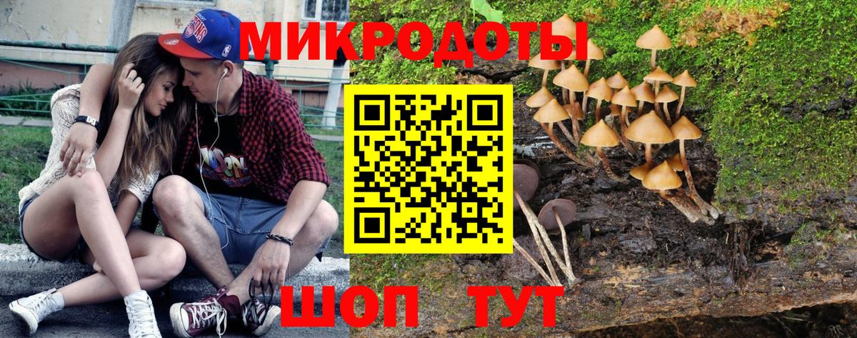 Галлюциногенные грибы мухоморы  Вход с VPN  Чита  где купить   Галлюциногенные грибы прущие грибы 