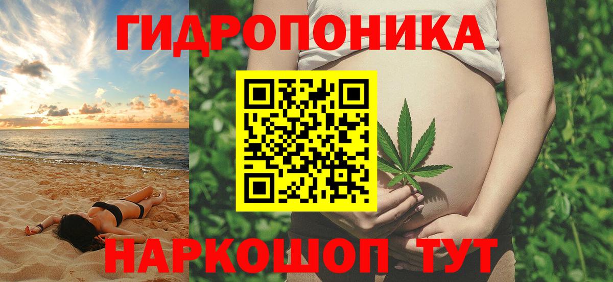 Канабис сатива  Вход с VPN  МАРИХУАНА SATIVA & INDICA  Бошки марихуана конопля  Чита 